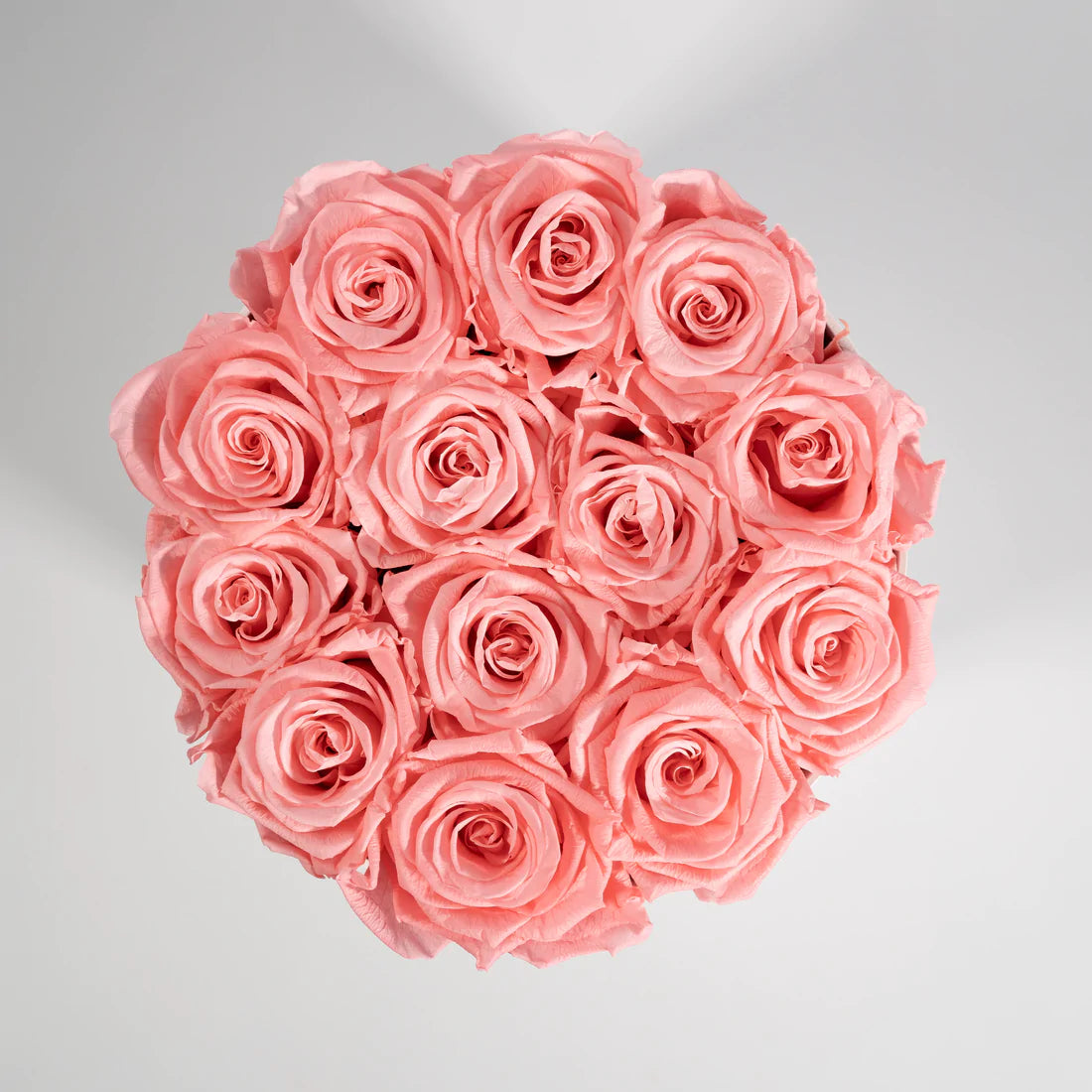 How Do We Cultivate The Different Colours of Roses? – Amarante London