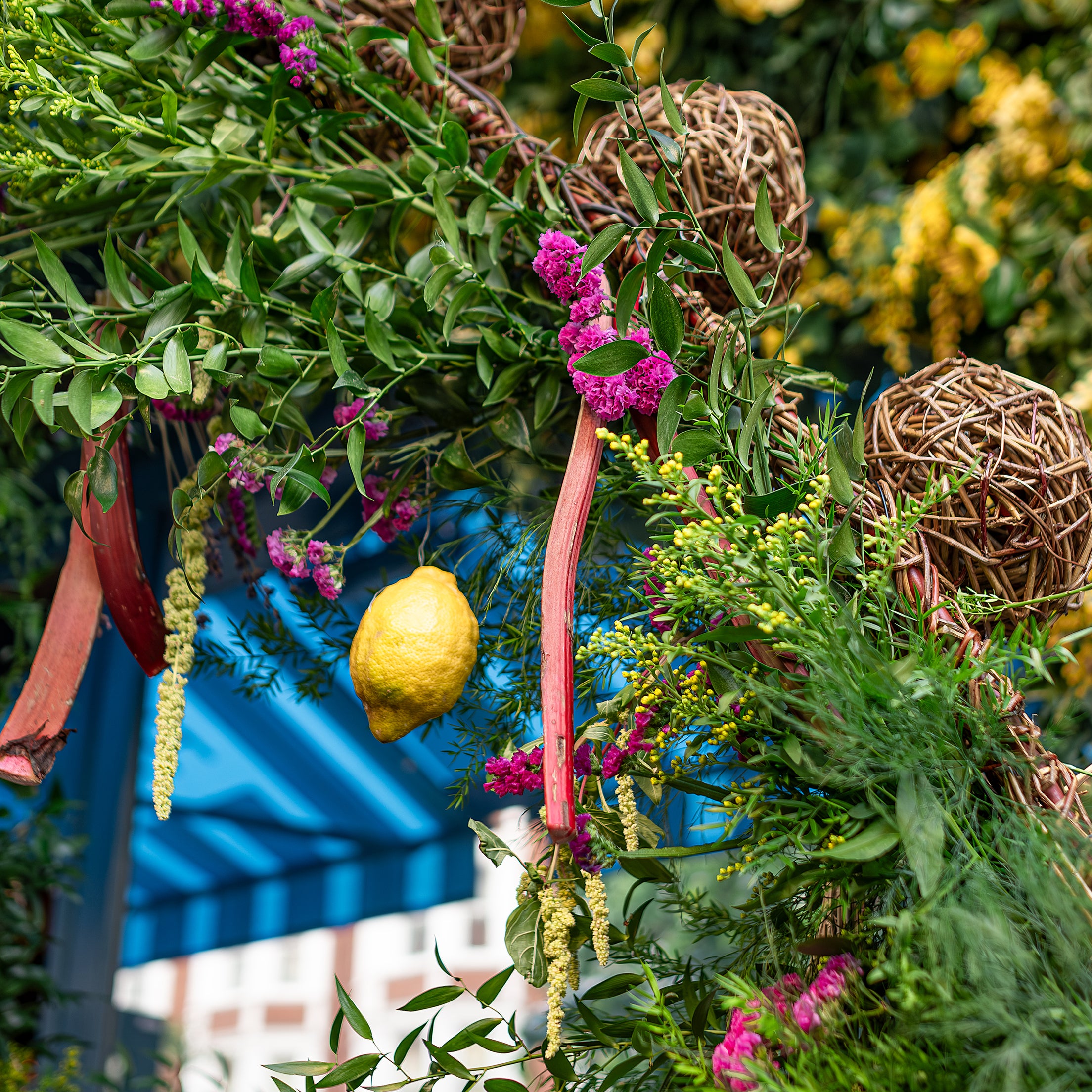 Close-up of an intricate floral arrangement in the shape of an arch designed by event florist Amaranté London for the Chelsea in Bloom event, featuring vibrant green foliage, pink statice flowers, yellow solidago, and a prominent lemon, set against a blue awning.