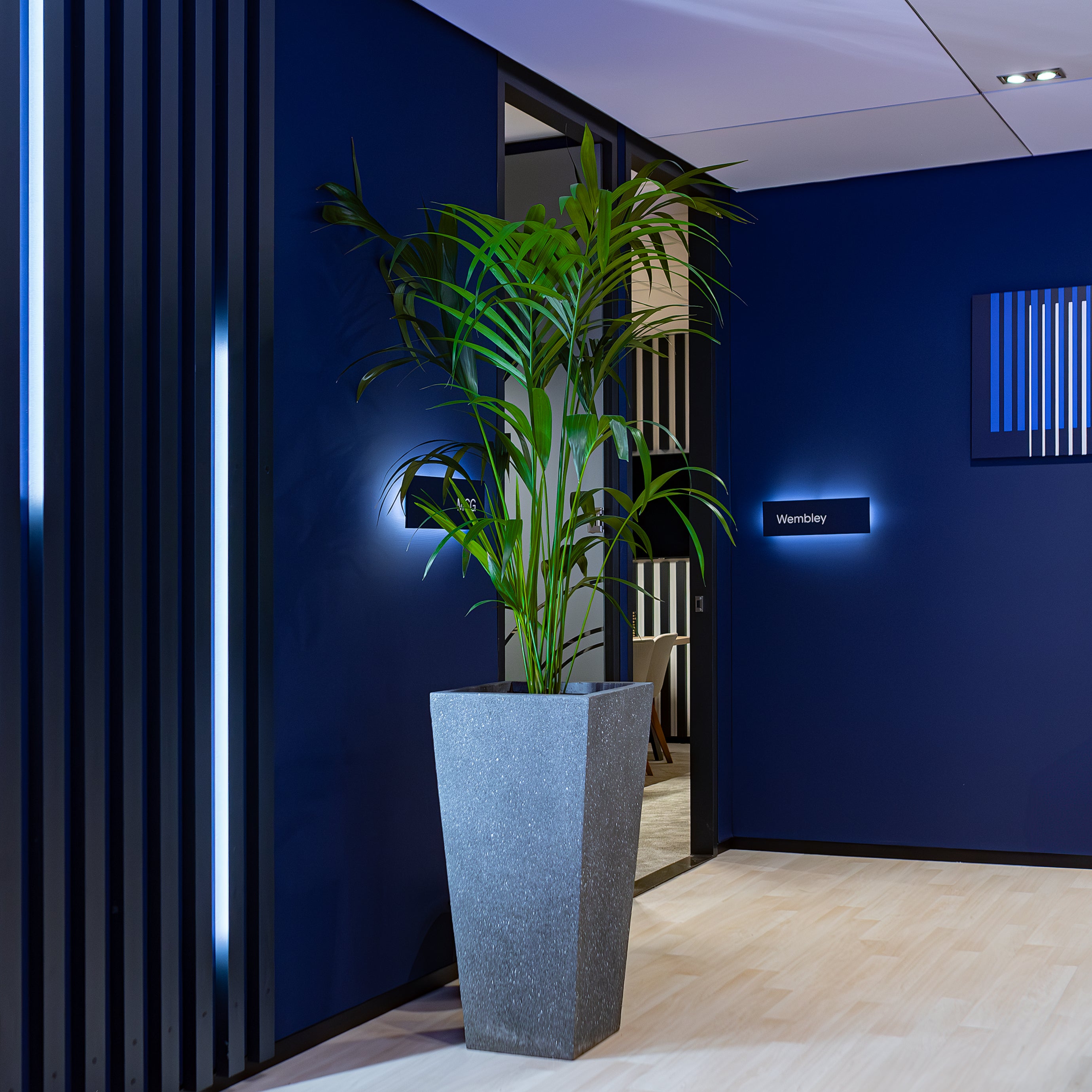 A sleek, modern and intimate corner at the ICE London Exhibition decorated with a tall, verdant potted palm enhances the sophisticated ambience of the Genius Sports meeting room entrance. A typical Plant Hire for Corporate Events by Amaranté London.