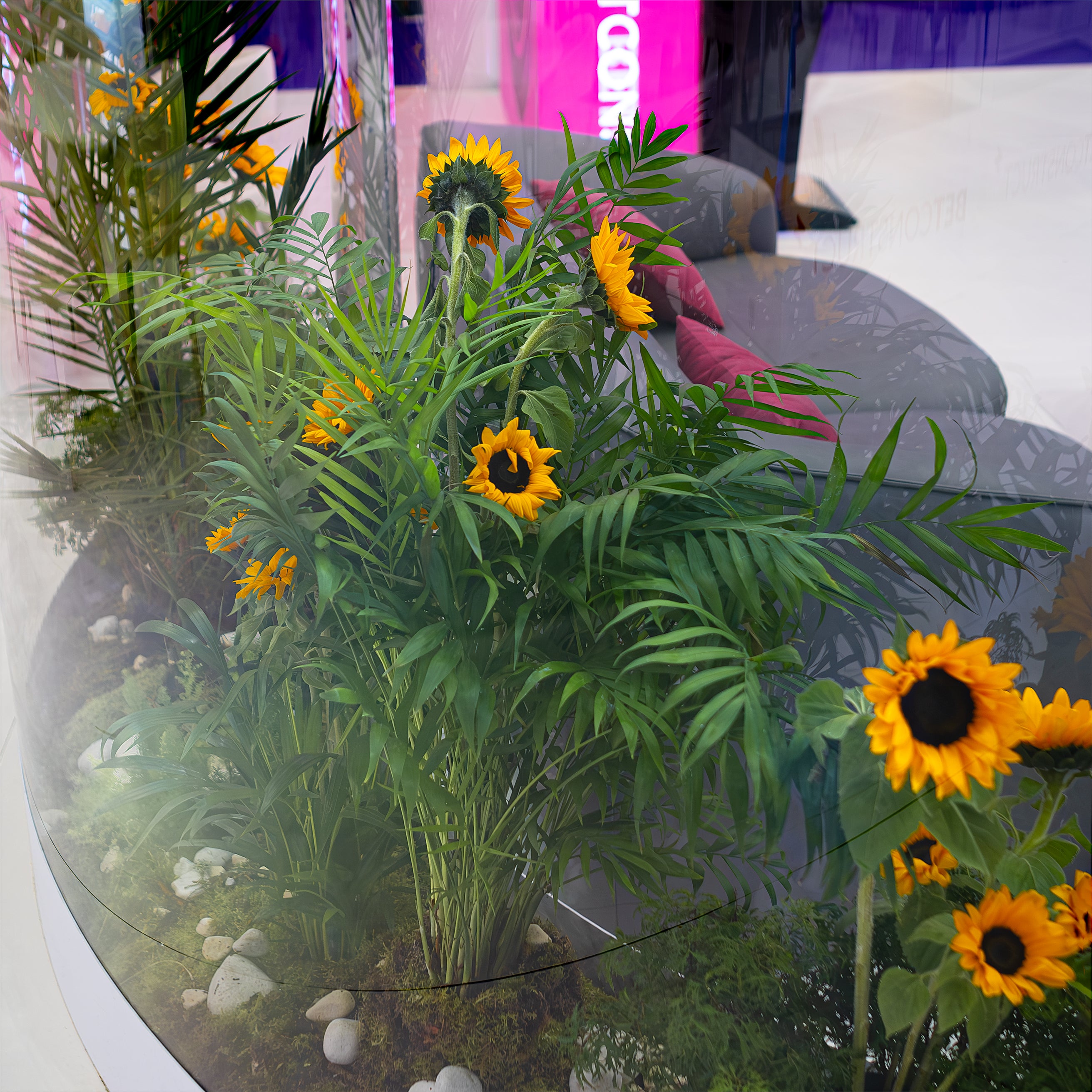 A Close-up view of our bespoke floral arrangements with sunflowers and greenery inside a glass floral display at The ICE London Exhibition, under a warm soft lighting.