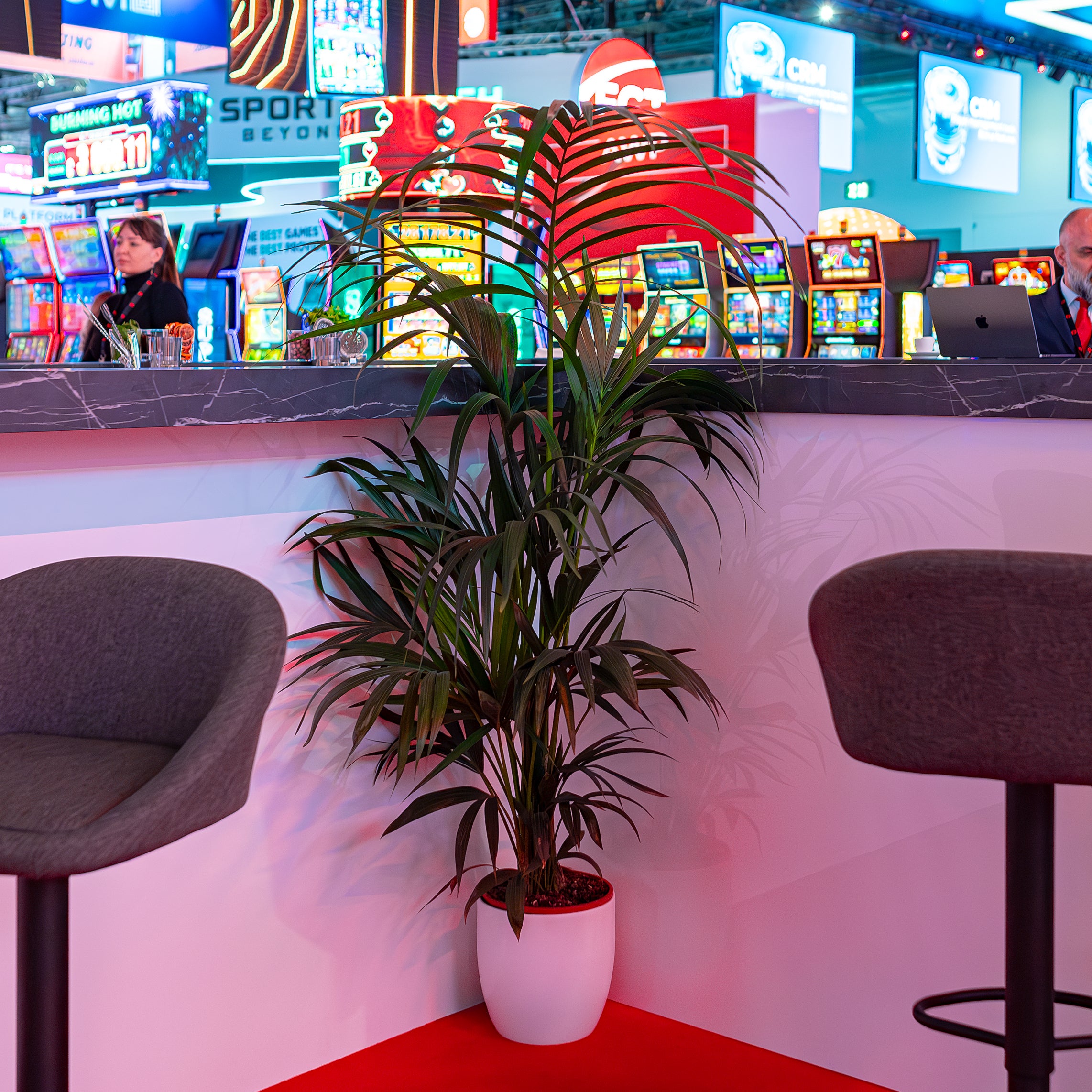 A lush, green potted plant for hire adds a touch of tranquillity to the busy gaming floor at ICE London Exhibition, contrasting with the bright lights and colourful slot machine displays in the background.