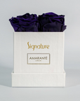 Exclusive Small White Square Matte Rose Box