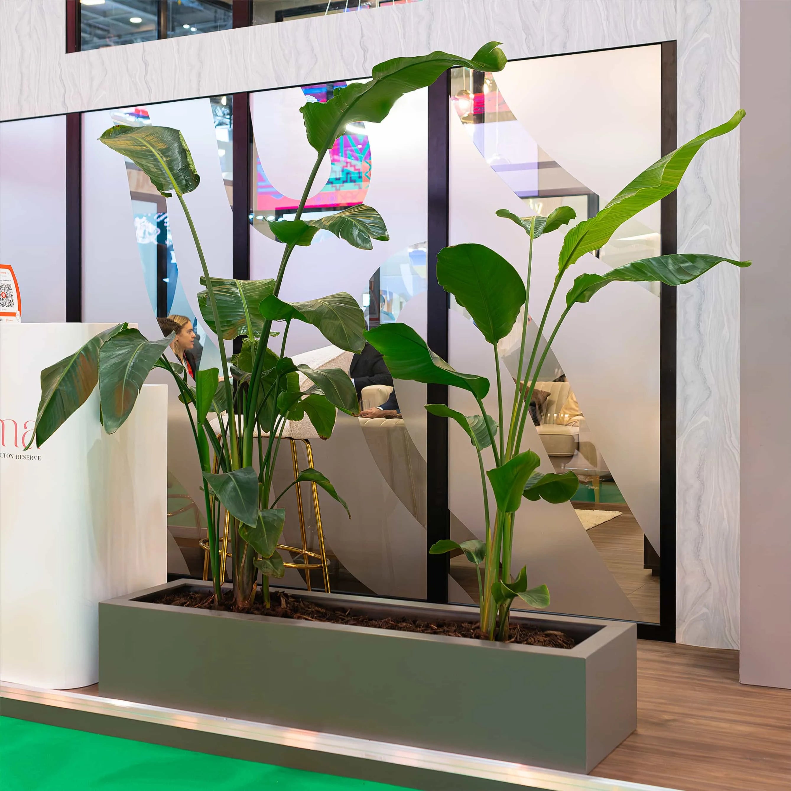 Elegant Monstera plants add a touch of verdant luxury to the modern event booth with their lush green leaves - Plant Hire by Event Florist Amaranté London.