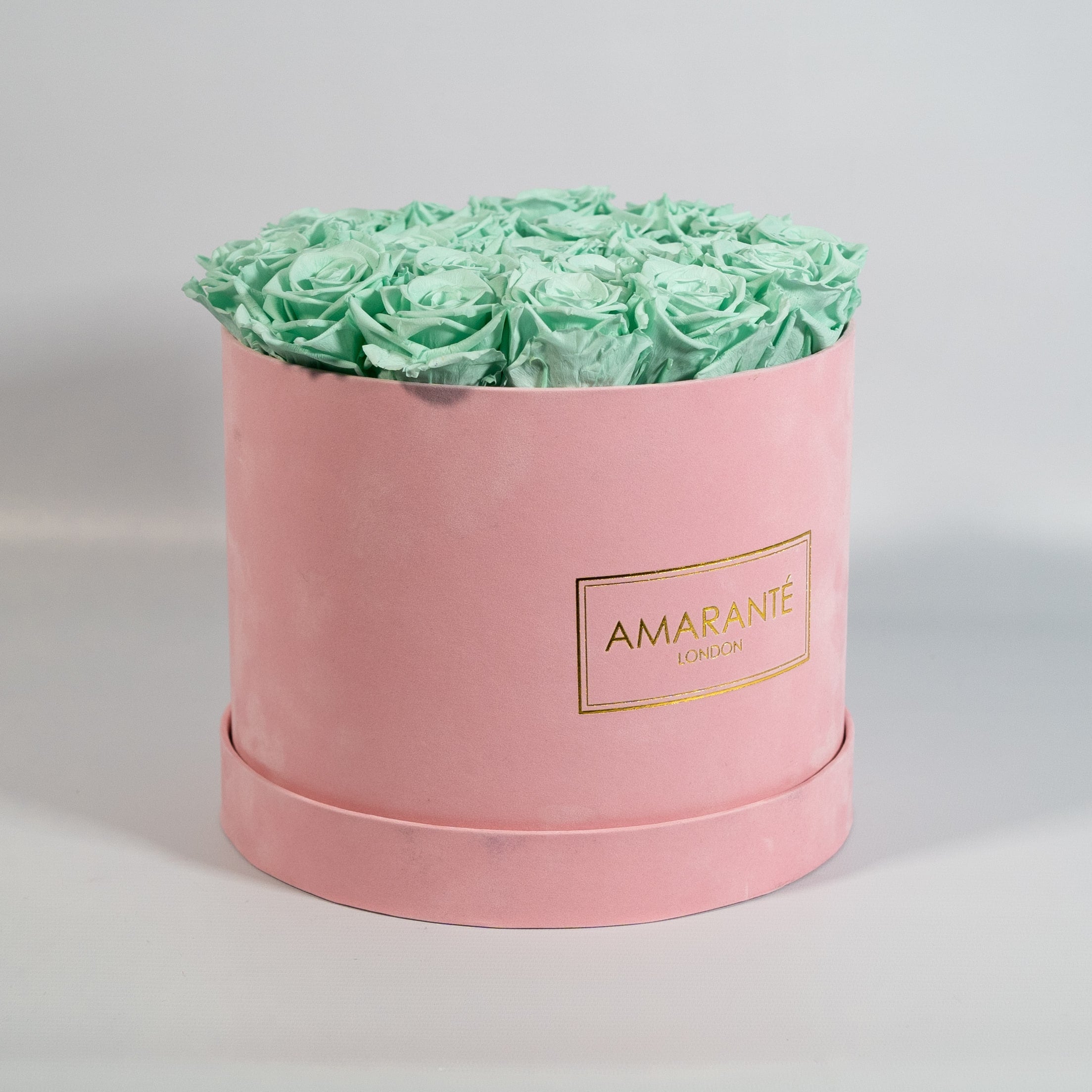 Elegant mint green Roses implying nature and energy 